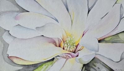 Aquarellbild einer abstrakter Magnolienblüte in zarten Rosa- und Grüntönen